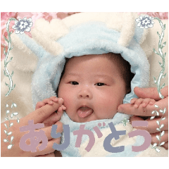 HIKARI_20241208201205