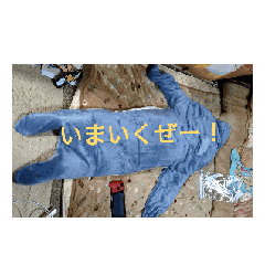 hitomi_20241209105007