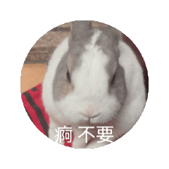 劉啊妮妮妮妮妮