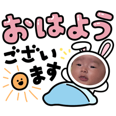 kitty_20241208204510