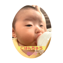CoCo_20241208233312