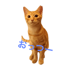 yoshi_20241209001956