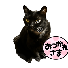 yuko_20241209124236