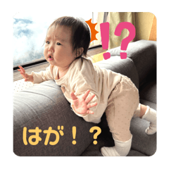 momoko_20241209124518