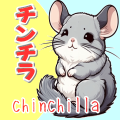 Stickers for chinchillas