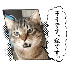 aru_20241209111637