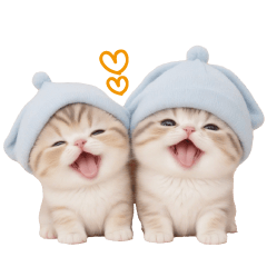 cute two cats winter Sticker