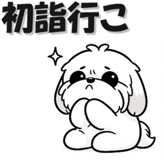 Everyday Shih Tzu Daily Greetings Dog 2