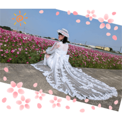 仙子花兒