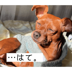 Putti_20241209153601