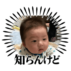 yh_20241209195130