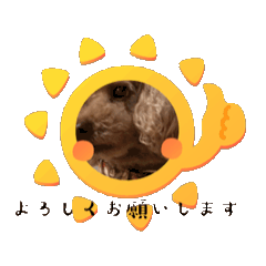 ConnyH_20241209211940