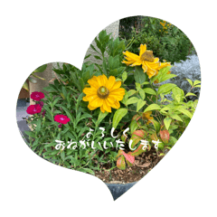 mimi_20241209201734