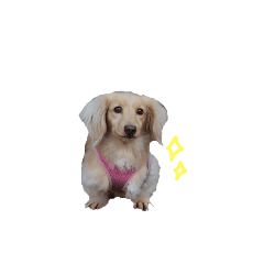 aska_20241209212603