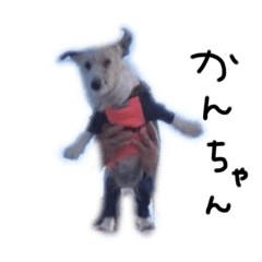 Mimi_20241210090015