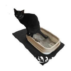 misaki_20241210085111