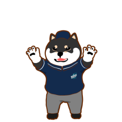 Shiba Inu Baseball Umpire (No Text)