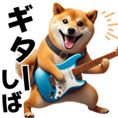 Shiba Inu Guitarist