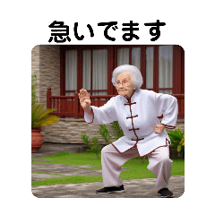 Kung Fu Grandma