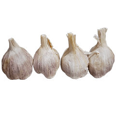 Food Series : Some Garlic #5