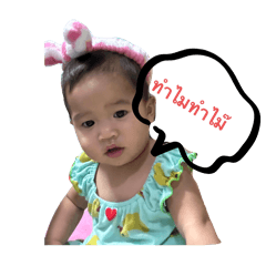 Mewww_20241210131927