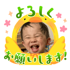 COCO_20241210153236