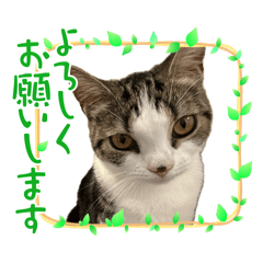 Rena_20241210160316
