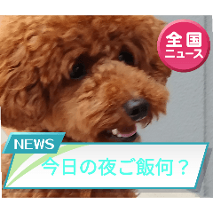 sakayu_20241210171355