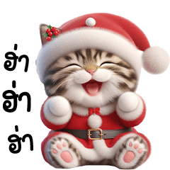 Jiw little meow Happy Christmas