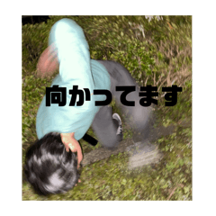 ai_20241210161006