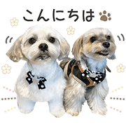 Ryuta & Ken sticker