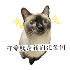 庫&妮pt.3