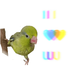 yiwha_20241210193955