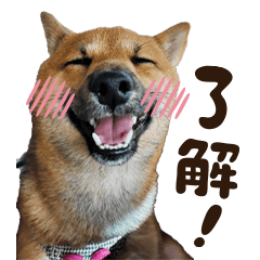 CHA.CHA.MARU