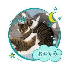 AKIKO_20241210185143