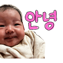 kyanon_20241209184855