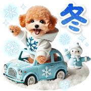 winter toy poodle [POPUP]