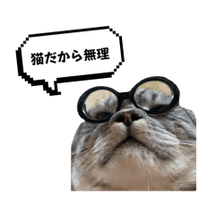 takuuu_20241210194728