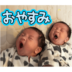 TANUKI_20241210195812