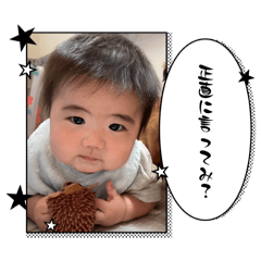 shin_20241210205247