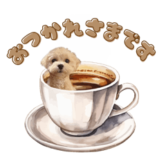 SAGIRI_20241210180705