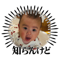 hello_20241211121305