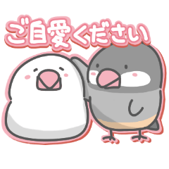 Java sparrow everyday sticker2