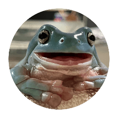 frog_20241211140207