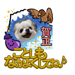 SEA_HouseL_20241211141520