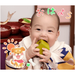 TOM_20241210213347