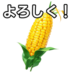 talkative corn