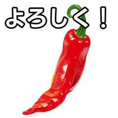 talkative chili pepper