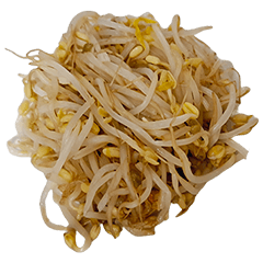 Food Series : Some Mung Bean Sprout #4