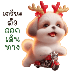 Shih Tzu Christmas Happy New Year